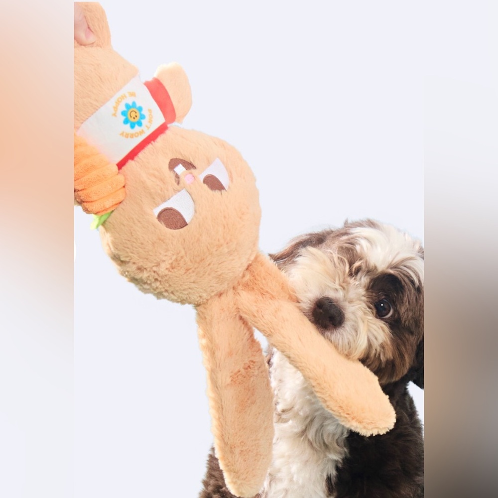 Bark Box XL Veggie Reggie Easter bunny Dog Toy NEW